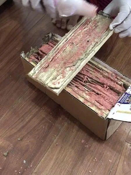 Dịch vụ diệt mối tận gốc tại Hà Nội – Có mặt sau 15 phút