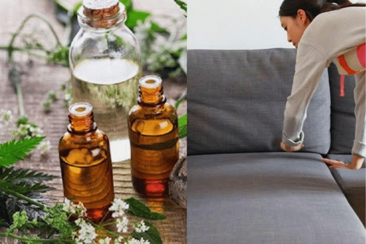 Dùng hương liệu là cách khử mùi ghế sofa nỉ hiệu quả