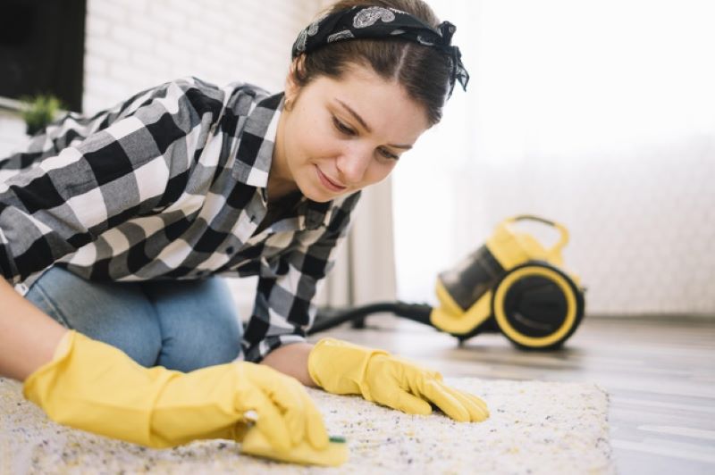 Lý do nên vệ sinh nhà cửa mùa hè