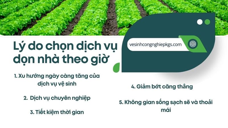 Lý do chọn dịch vụ dọn nhà theo giờ Lý do chọn dịch vụ dọn nhà theo giờ