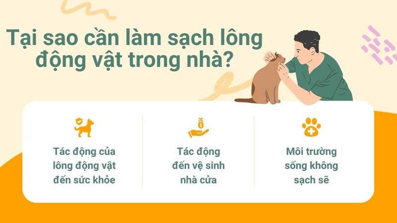 Tại sao cần làm sạch lông động vật trong nhà?