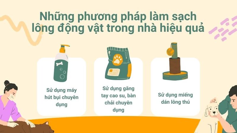 Những phương pháp làm sạch lông động vật trong nhà hiệu quả