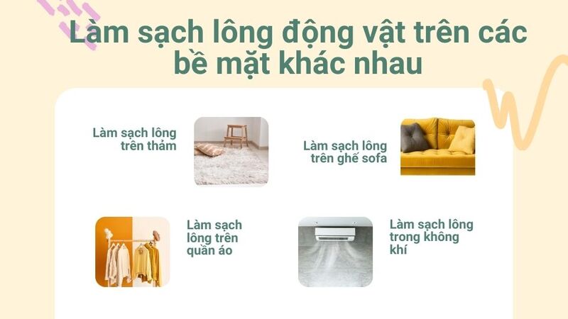 Làm sạch lông động vật trên các bề mặt khác nhau