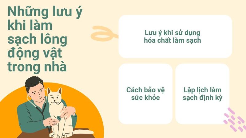 Những lưu ý khi làm sạch lông động vật trong nhà