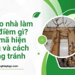 Mối vào nhà làm tổ là điềm gì? Giải mã hiện tượng và cách phòng tránh moi-vao-nha-lam-to-la-diem-gi-1