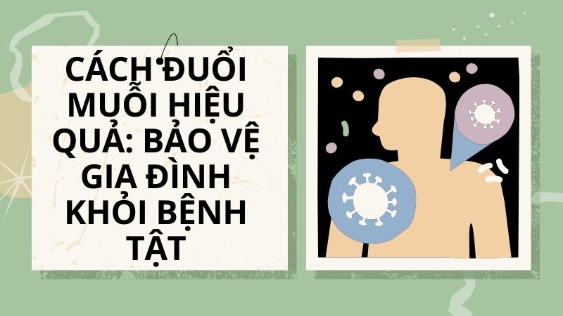 Cách đuổi muỗi hiệu quả: Bảo vệ gia đình khỏi bệnh tật