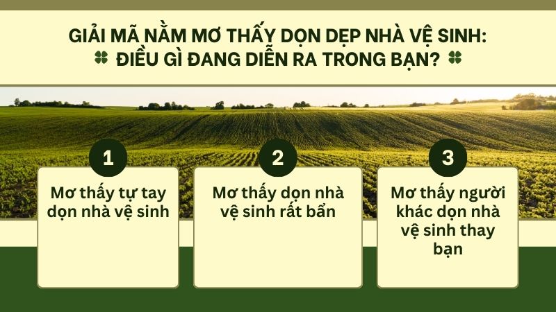 Giải mã nằm mơ thấy dọn dẹp nhà vệ sinh: Điều gì đang diễn ra trong bạn? Giải mã nằm mơ thấy dọn dẹp nhà vệ sinh: Điều gì đang diễn ra trong bạn?