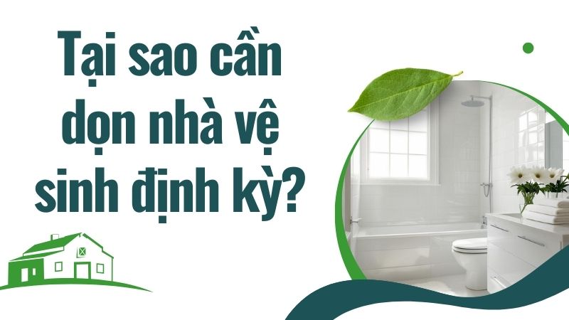 Tại sao cần dọn dẹp nhà vệ sinh định kỳ? Tại sao cần dọn dẹp nhà vệ sinh định kỳ?
