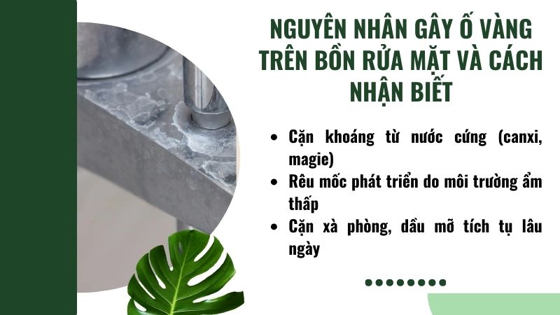 Nguyên nhân gây ố vàng trên bồn rửa mặt và cách nhận biết Nguyên nhân gây ố vàng trên bồn rửa mặt và cách nhận biết