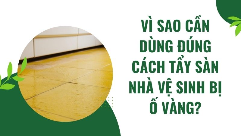 Vì sao cần dùng đúng cách tẩy sàn nhà vệ sinh bị ố vàng? Vì sao cần dùng đúng cách tẩy sàn nhà vệ sinh bị ố vàng?