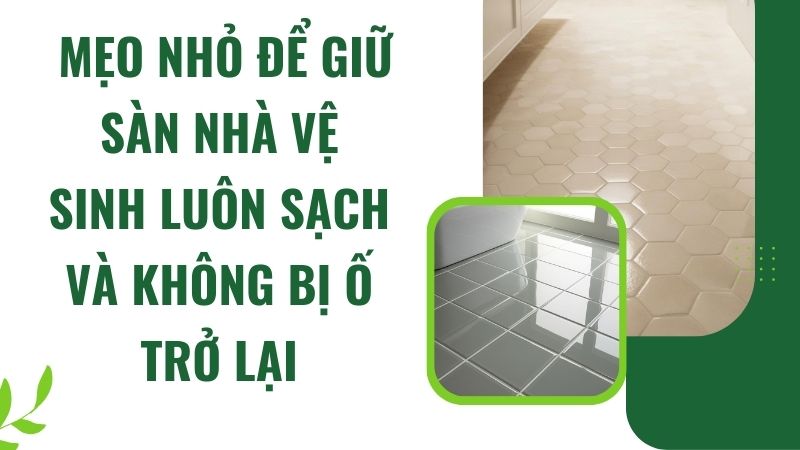 Mẹo nhỏ để giữ sàn nhà vệ sinh luôn sạch và không bị ố trở lại Mẹo nhỏ để giữ sàn nhà vệ sinh luôn sạch và không bị ố trở lại