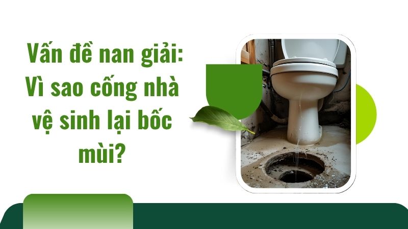 Vấn đề nan giải: Vì sao cống nhà vệ sinh lại bốc mùi? Vấn đề nan giải: Vì sao cống nhà vệ sinh lại bốc mùi?