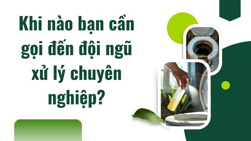 Khi nào bạn cần gọi đến đội ngũ xử lý chuyên nghiệp? Khi nào bạn cần gọi đến đội ngũ xử lý chuyên nghiệp?
