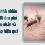 Vì sao nhà nhiều muỗi? Khám phá nguyên nhân và giải pháp hiệu quả 1