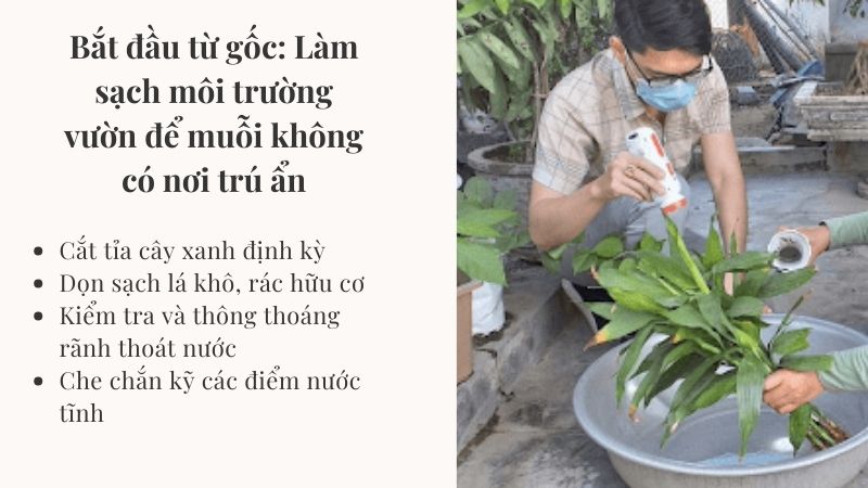 Bắt đầu từ gốc: Làm sạch môi trường vườn để muỗi không có nơi trú ẩn Bắt đầu từ gốc: Làm sạch môi trường vườn để muỗi không có nơi trú ẩn