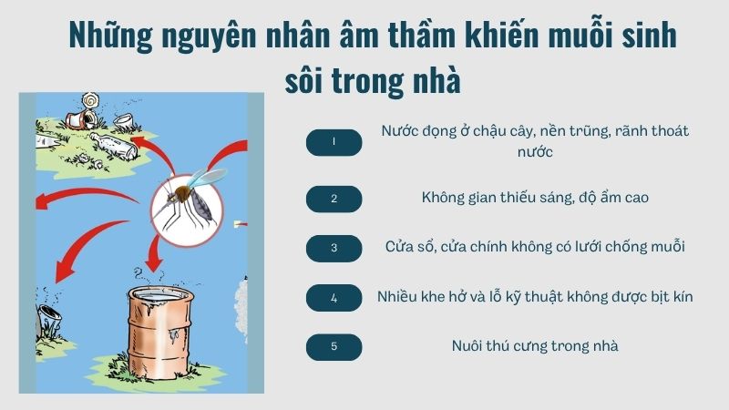 Những nguyên nhân âm thầm khiến muỗi sinh sôi trong nhà Những nguyên nhân âm thầm khiến muỗi sinh sôi trong nhà