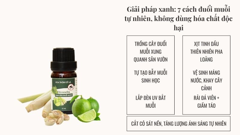Giải pháp xanh: 7 cách đuổi muỗi tự nhiên, không dùng hóa chất độc hại Giải pháp xanh: 7 cách đuổi muỗi tự nhiên, không dùng hóa chất độc hại
