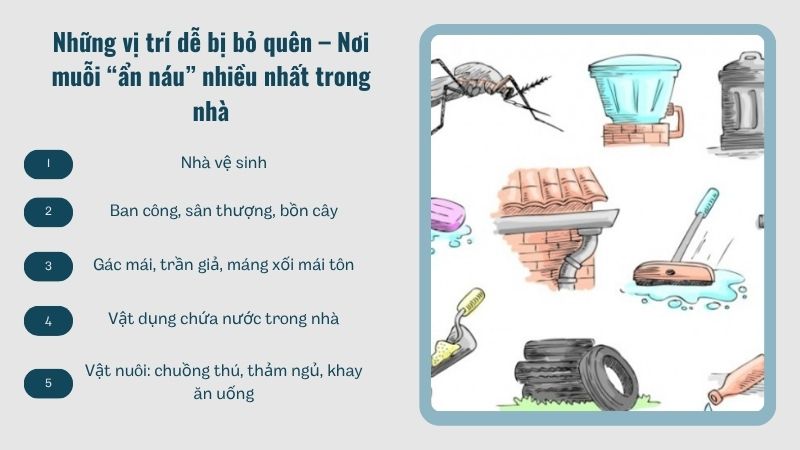Những vị trí dễ bị bỏ quên – Nơi muỗi “ẩn náu” nhiều nhất trong nhà Những vị trí dễ bị bỏ quên – Nơi muỗi “ẩn náu” nhiều nhất trong nhà