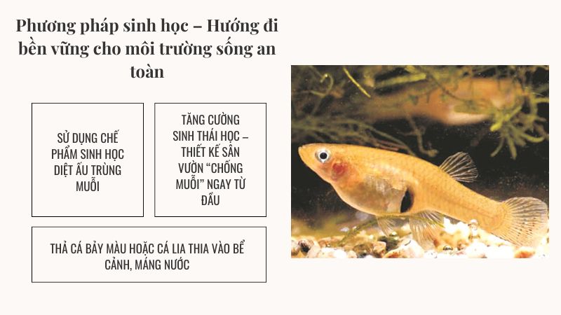 Phương pháp sinh học – Hướng đi bền vững cho môi trường sống an toàn Phương pháp sinh học – Hướng đi bền vững cho môi trường sống an toàn