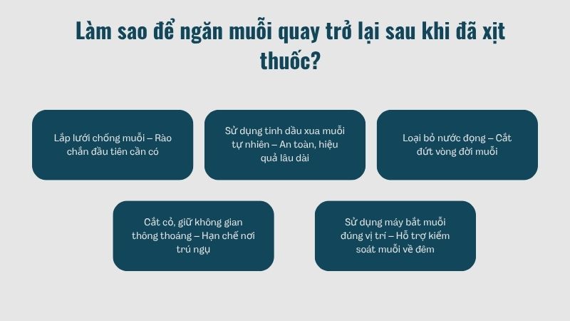 Làm sao để ngăn muỗi quay trở lại sau khi đã xịt thuốc? Làm sao để ngăn muỗi quay trở lại sau khi đã xịt thuốc?