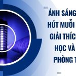 Ánh sáng có thu hút muỗi không? Giải thích khoa học và cách phòng tránh 1