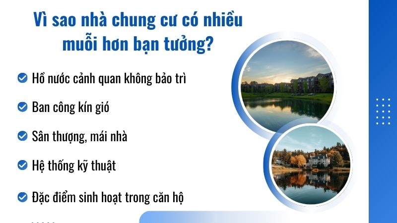 Vì sao nhà chung cư có nhiều muỗi hơn bạn tưởng? Vì sao nhà chung cư có nhiều muỗi hơn bạn tưởng?