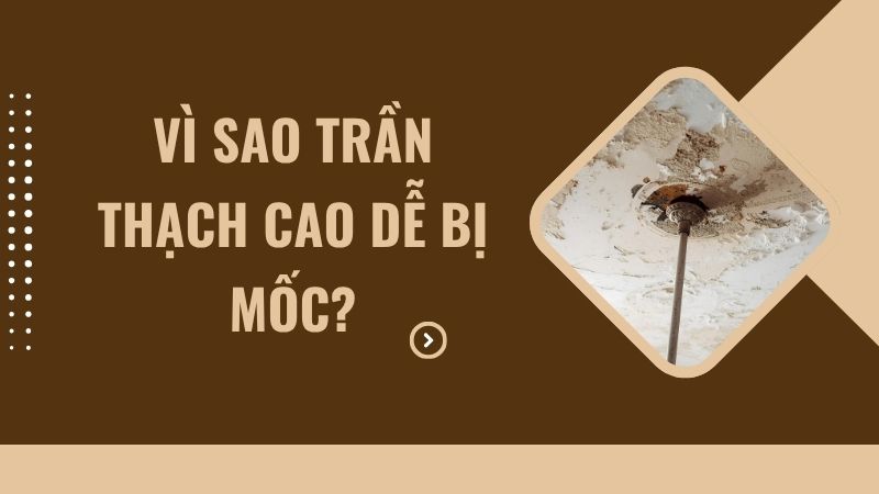 Vì sao trần thạch cao dễ bị mốc? Vì sao trần thạch cao dễ bị mốc?