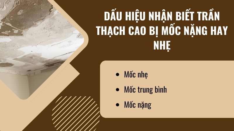 Dấu hiệu nhận biết trần thạch cao bị mốc nặng hay nhẹ Dấu hiệu nhận biết trần thạch cao bị mốc nặng hay nhẹ