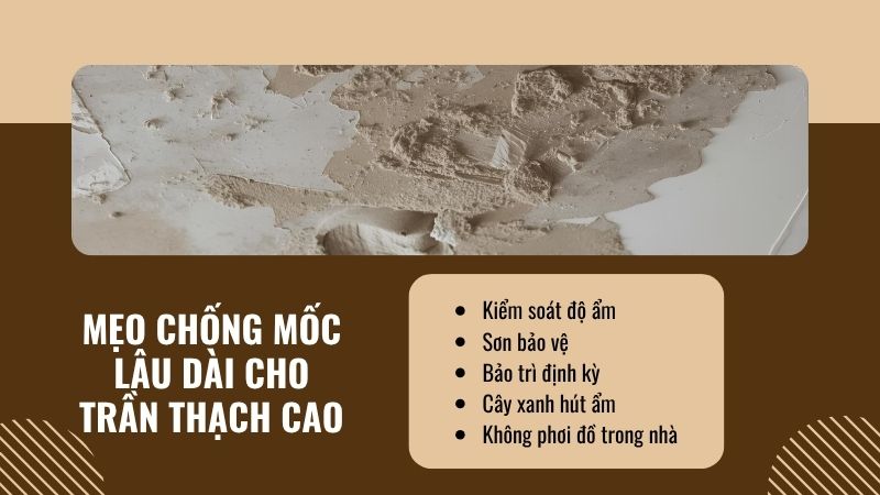 Mẹo chống mốc lâu dài cho trần thạch cao Mẹo chống mốc lâu dài cho trần thạch cao