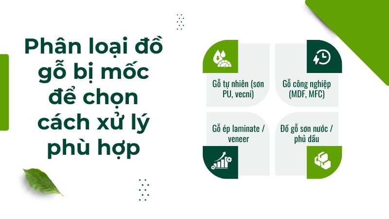 Phân loại đồ gỗ bị mốc để chọn cách xử lý phù hợp Phân loại đồ gỗ bị mốc để chọn cách xử lý phù hợp