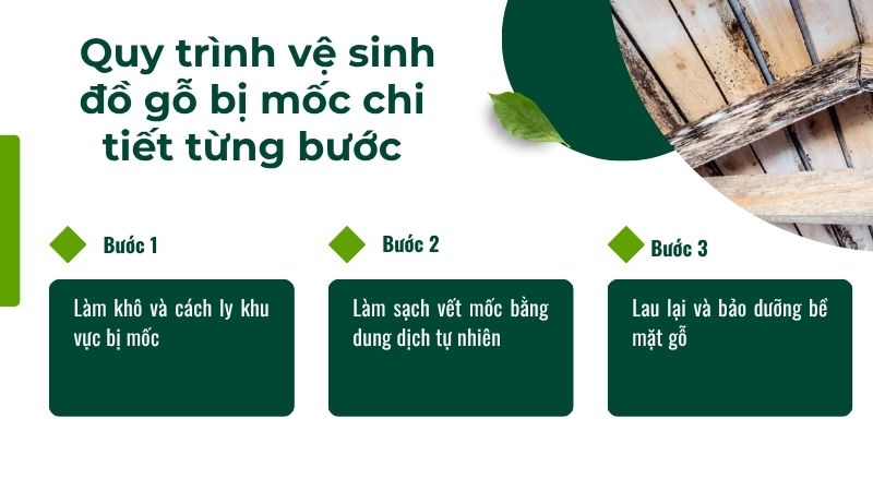 Quy trình vệ sinh đồ gỗ bị mốc chi tiết từng bước Quy trình vệ sinh đồ gỗ bị mốc chi tiết từng bước