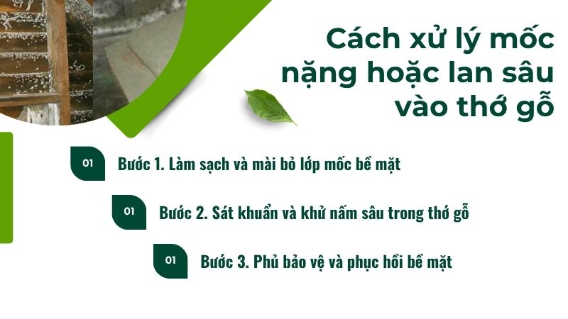 Cách xử lý mốc nặng hoặc lan sâu vào thớ gỗ Cách xử lý mốc nặng hoặc lan sâu vào thớ gỗ