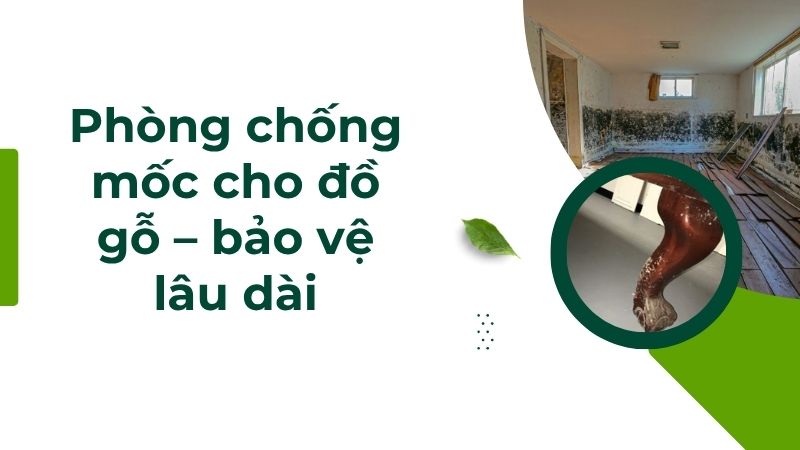 Phòng chống mốc cho đồ gỗ – bảo vệ lâu dài Phòng chống mốc cho đồ gỗ – bảo vệ lâu dài