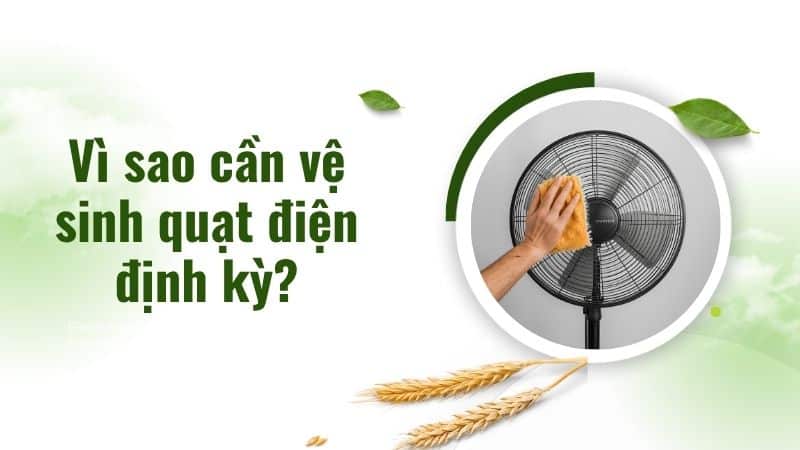 Vì sao cần vệ sinh quạt điện định kỳ?