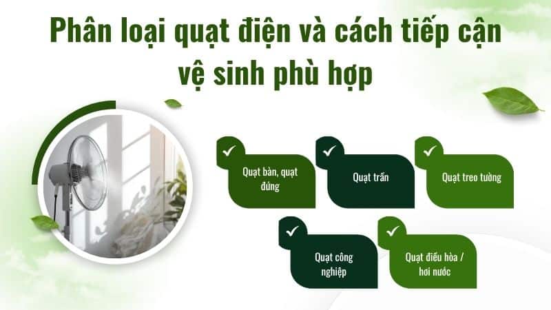 Phân loại quạt điện và cách tiếp cận vệ sinh phù hợp