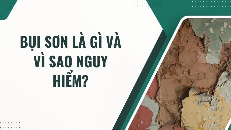 Bụi sơn là gì và vì sao nguy hiểm?