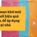 Top 10 mẹo khử mùi sơn mới hiệu quả nhanh, dễ áp dụng tại nhà meo-khu-mui-son-moi-1