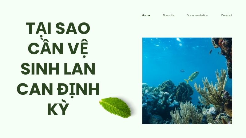 Tại sao cần vệ sinh lan can định kỳ