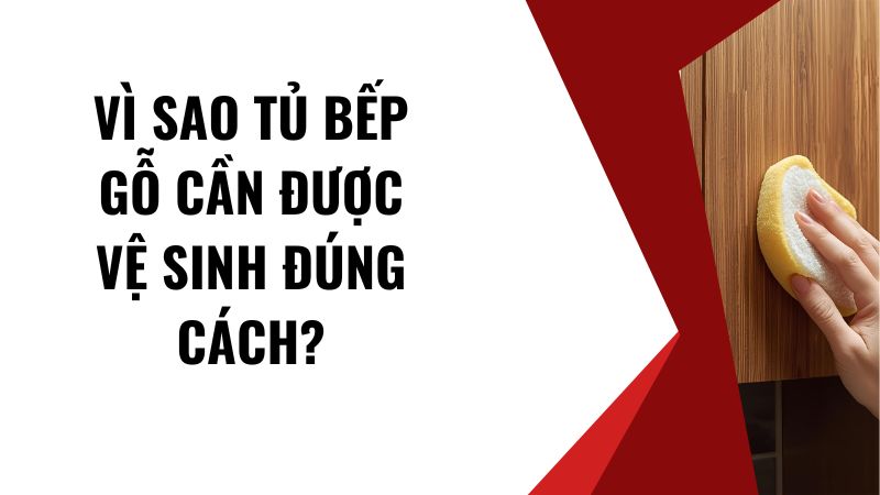 Vì sao tủ bếp gỗ cần được vệ sinh đúng cách? Vì sao tủ bếp gỗ cần được vệ sinh đúng cách?
