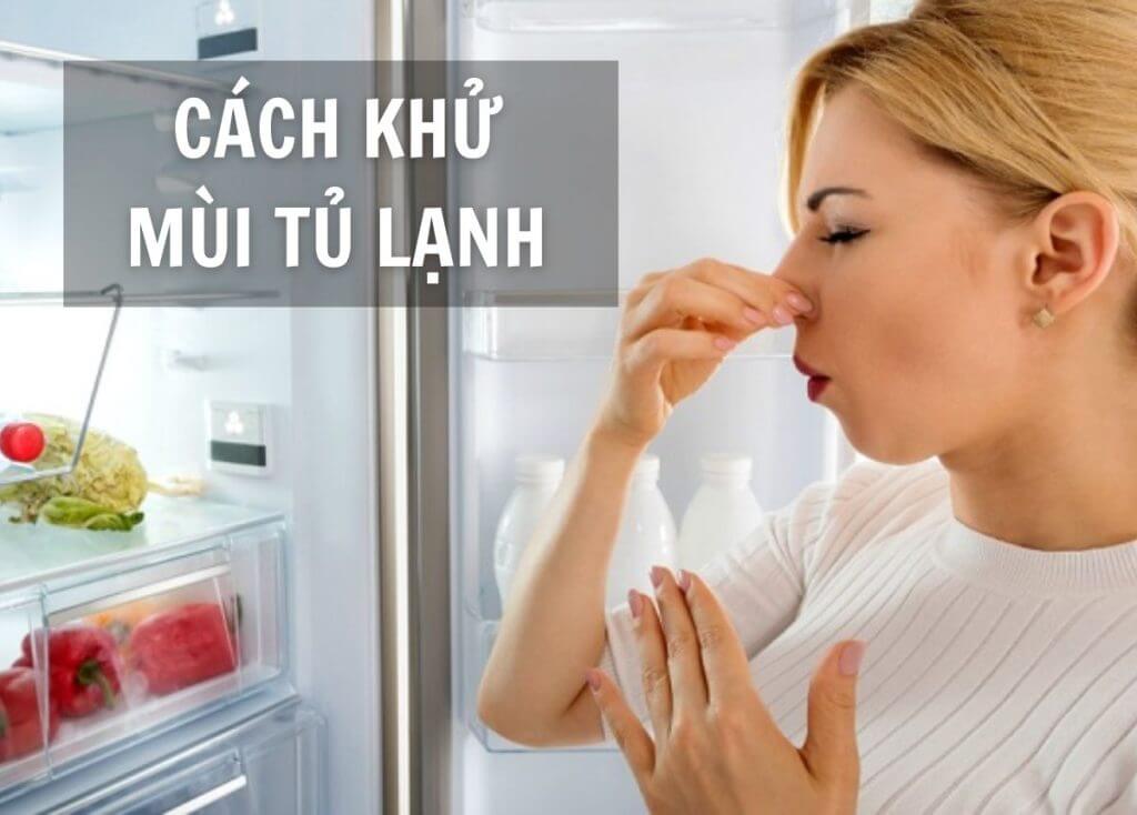 03 Bước vệ sinh tủ lạnh bị hôi, mốc lâu ngày