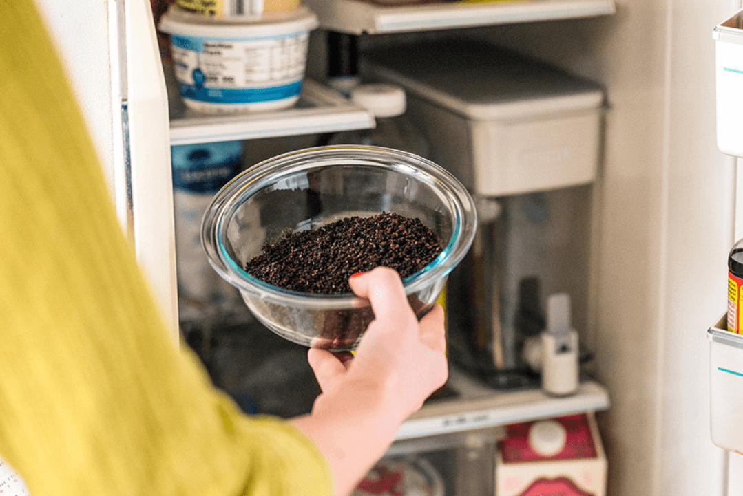 Dùng bã cà phê để khử mùi rất hiệu quả