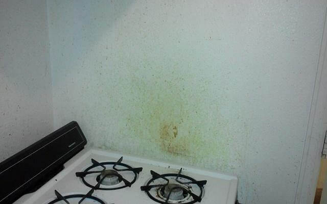 Lưu ý khi tẩy vết dầu mỡ trên tường sơn