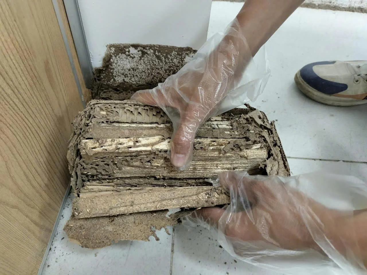 Công ty TNHH Vệ Sinh Công Nghiệp KGS